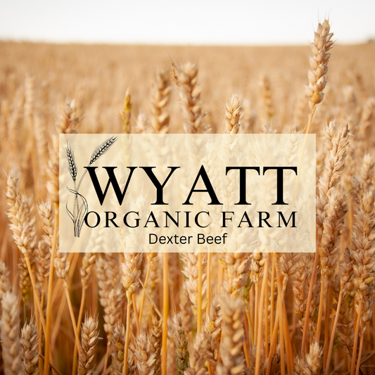 Naturally Raised Dexter Ground Beef